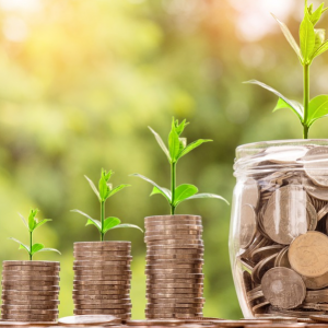 Financial Management - FIN3701