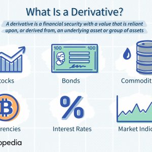 Investments: Derivatives - INV3703