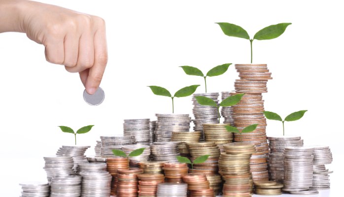 Financial Management IV - FMA401V